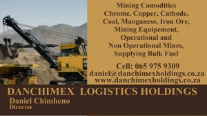 Danchimex Holdings